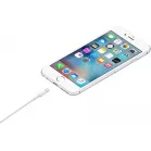 Кабель Apple ME291ZM/A_ USB (m)-Lightning (m) 0.5м белый