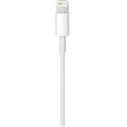 Кабель Apple A1510 MD819ZM/A USB (m)-Lightning (m) 2м белый