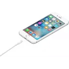 Кабель Apple A1510 MD819ZM/A USB (m)-Lightning (m) 2м белый