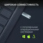 Флеш Диск Digma 256Gb DRIVE3 DGFUM256A30SR USB3.0 серебристый
