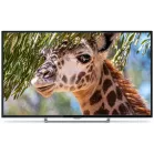Телевизор LED PolarLine 50" 50PU11TC-SM черный 4K Ultra HD 60Hz DVB-T DVB-T2 DVB-C DVB-S2 USB WiFi Smart TV (RUS)