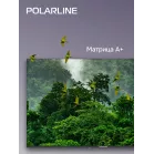 Телевизор LED PolarLine 50" 50PU11TC-SM черный 4K Ultra HD 60Hz DVB-T DVB-T2 DVB-C DVB-S2 USB WiFi Smart TV (RUS)
