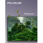 Телевизор LED PolarLine 55" 55PU11TC-SM черный 4K Ultra HD 60Hz DVB-T DVB-T2 DVB-C DVB-S2 USB WiFi Smart TV (RUS)