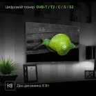 Телевизор LED Digma 40" DM-LED40MBB21 черный FULL HD 60Hz DVB-T DVB-T2 DVB-C DVB-S DVB-S2 USB WiFi