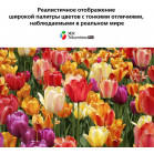 Телевизор LED Sony 75" XR-75X90J BRAVIA черный 4K Ultra HD 100Hz DVB-T DVB-T2 DVB-C DVB-S DVB-S2 USB WiFi Smart TV