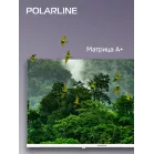 Телевизор LED PolarLine 24" 24PL52TC белый HD 60Hz DVB-T DVB-T2 DVB-C DVB-S2 (RUS)