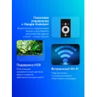Телевизор LED Skyworth 43" 43G66G Google TV Frameless черный/серый 4K Ultra HD 60Hz DVB-T DVB-T2 DVB-C DVB-S DVB-S2 USB WiFi Smart TV