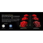 Телевизор LED Skyworth 75" 75X67H NEXO Mini-LED черный/серый 4K Ultra HD 120Hz MEMC DVB-T DVB-T2 DVB-C DVB-S DVB-S2 USB WiFi Smart TV