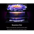 Телевизор QLED Haier 65" DH1VNBD01RU S2 Pro Frameless черный 4K Ultra HD 60Hz MEMC DVB-T DVB-T2 DVB-C DVB-C2 DVB-S2 USB WiFi Smart TV