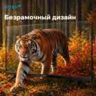 Телевизор LED Vitek 32" VT-32HBB200 Frameless черный HD 60Hz DVB-T DVB-T2 DVB-C DVB-S DVB-S2 USB