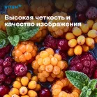 Телевизор LED Vitek 32" VT-32HBB200 Frameless черный HD 60Hz DVB-T DVB-T2 DVB-C DVB-S DVB-S2 USB