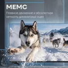 Телевизор LED Vitek 50" VT-50UBS410 Google TV Frameless черный 4K Ultra HD 60Hz MEMC DVB-T DVB-T2 DVB-C DVB-C2 DVB-S DVB-S2 USB WiFi Smart TV