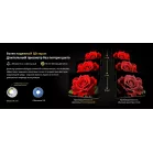 Телевизор LED Skyworth 75" 75X66H Nexo Mini-LED черный/серый 4K Ultra HD 120Hz MEMC DVB-T DVB-T2 DVB-C DVB-S DVB-S2 USB WiFi Smart TV