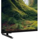 Телевизор LED Sber 55" SDX-55U5500DBB Салют ТВ Frameless черный 4K Ultra HD 60Hz DVB-T DVB-C DVB-S USB WiFi Smart TV (RUS)