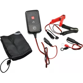 Зарядное устройство Berkut BC-1A