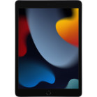 Планшет Apple iPad 2021 A2602 A13 Bionic 6С RAM3Gb ROM256Gb 10.2" IPS 2160x1620 iOS серый космос 8Mpix 12Mpix BT WiFi 10hr