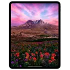 Планшет Apple iPad Pro 2024 A2836 M4 9C RAM8Gb ROM256Gb 11" OLED 2420x1668 iOS черный космос 12Mpix 12Mpix BT WiFi 10hr