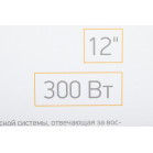 Сабвуфер автомобильный Digma DCS-120 300Вт активный (30см/12