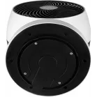 Вентилятор настольный Ballu BFT-135W 35Вт скоростей:3 белый/черный (упак.:1шт)