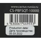 Мобильный аккумулятор Cactus CS-PBFSQT-10000 10000mAh 3A беспров.зар. черный