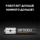 Батарея Opticell Professional LR03 AAA (12шт) блистер