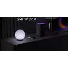 Умная колонка Yandex Станция 2 Алиса на YaGPT черный 30W 1.0 BT/Wi-Fi 10м (YNDX-00051K)