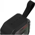 Колонка порт. Digma D-PS1501 черный 10W 1.0 BT 10м 1500mAh (DPS1501)