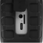 Колонка порт. Digma D-PS1501 черный 10W 1.0 BT 10м 1500mAh (DPS1501)