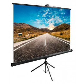 Экран Cactus 160x160см TriExpert CS-PSTE-160x160-BK 1:1 напольный рулонный черный