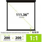 Экран Cactus 200x200см TriExpert CS-PSTE-200x200-BK 1:1 напольный рулонный черный