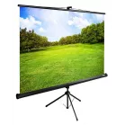 Экран Cactus 98" 150x200см TriExpert CS-PSTE-200x150-BK 4:3 напольный рулонный черный