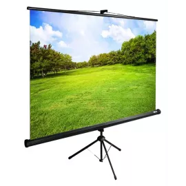 Экран Cactus 98" 150x200см TriExpert CS-PSTE-200x150-BK 4:3 напольный рулонный черный