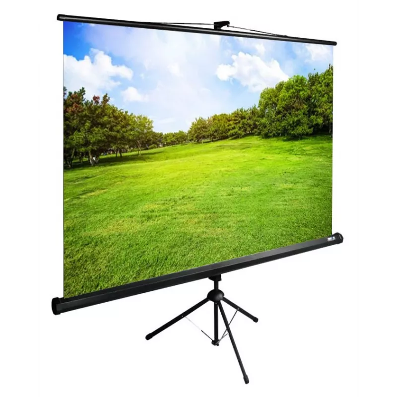 Экран Cactus 98" 150x200см TriExpert CS-PSTE-200x150-BK 4:3 напольный рулонный черный