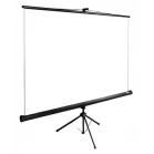 Экран Cactus 98" 150x200см TriExpert CS-PSTE-200x150-BK 4:3 напольный рулонный черный