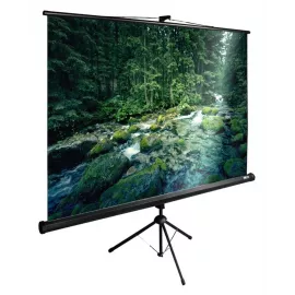 Экран Cactus 108" 165x220см TriExpert CS-PSTE-220x165-BK 4:3 напольный рулонный черный