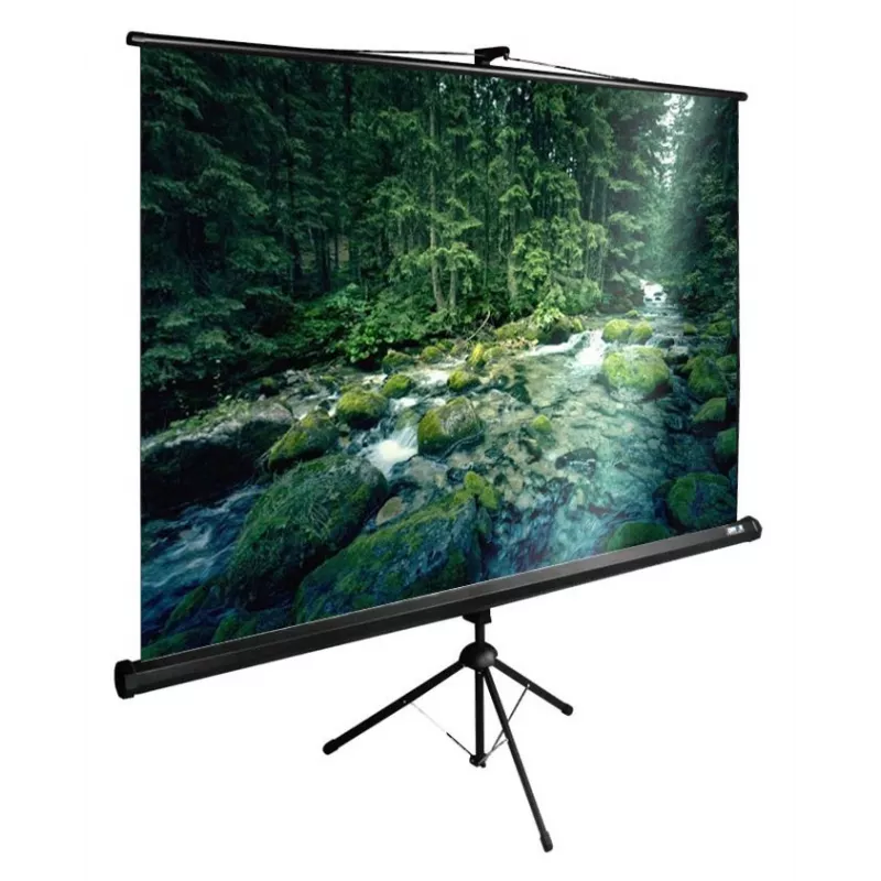 Экран Cactus 108" 165x220см TriExpert CS-PSTE-220x165-BK 4:3 напольный рулонный черный