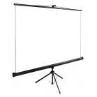Экран Cactus 108" 165x220см TriExpert CS-PSTE-220x165-BK 4:3 напольный рулонный черный