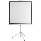 Экран Digis 100" 180x180см Kontur-D DSKD-1105 1:1 напольный рулонный