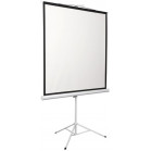 Экран Digis 100" 180x180см Kontur-D DSKD-1105 1:1 напольный рулонный