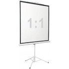 Экран Digis 100" 180x180см Kontur-D DSKD-1105 1:1 напольный рулонный