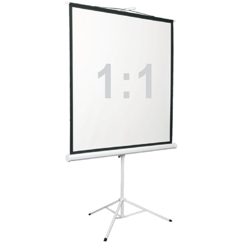 Экран Digis 100" 180x180см Kontur-D DSKD-1105 1:1 напольный рулонный
