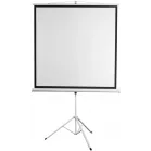 Экран Digis 112" 200x200см Kontur-D DSKD-1106 1:1 напольный рулонный