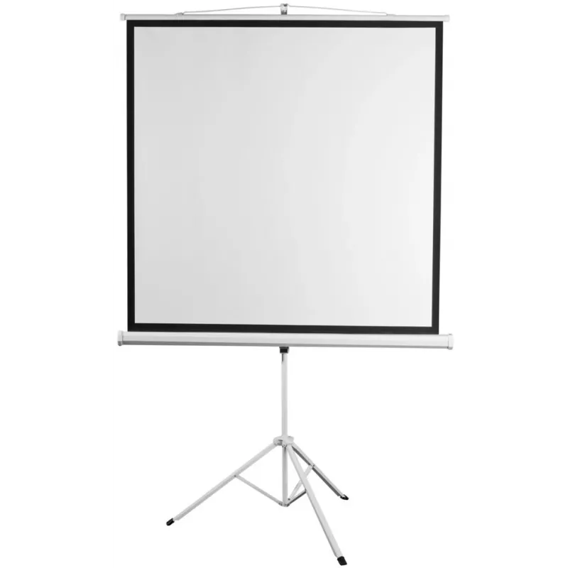 Экран Digis 112" 200x200см Kontur-D DSKD-1106 1:1 напольный рулонный