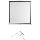 Экран Digis 86" 130x172см Kontur-D DSKD-4302 4:3 напольный рулонный