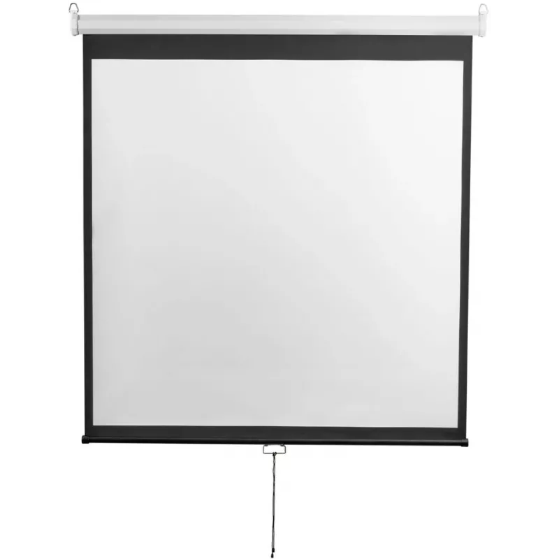 Экран Digis 167" 300x300см Optimal-D DSOD-1108 1:1 настенно-потолочный рулонный