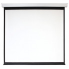 Экран Digis 112" 209x206см Electra-F DSEF-1106 1:1 настенно-потолочный рулонный (моторизованный привод)
