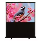 Экран Cactus 59" 90x120см FloorCompactExpert CS-PSFLCE-120X90 4:3 напольный рулонный
