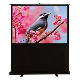 Экран Cactus 59" 90x120см FloorCompactExpert CS-PSFLCE-120X90 4:3 напольный рулонный