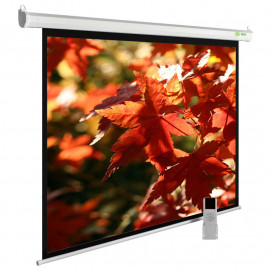 Экран Cactus 150x200см SIlverMotoExpert CS-PSSME-200X150-WT 4:3 настенно-потолочный рулонный белый (моторизованный привод)