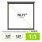 Экран Cactus 127x127см Wallscreen CS-PSW-127X127-SG 1:1 настенно-потолочный рулонный серый